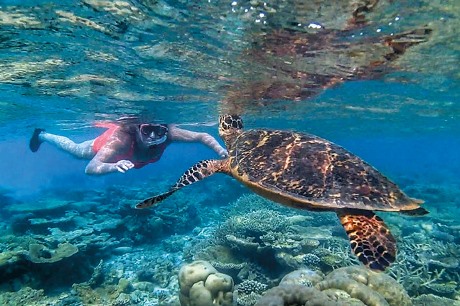 Travelsphere has added a trip to the Galapagos Islands to its destinations